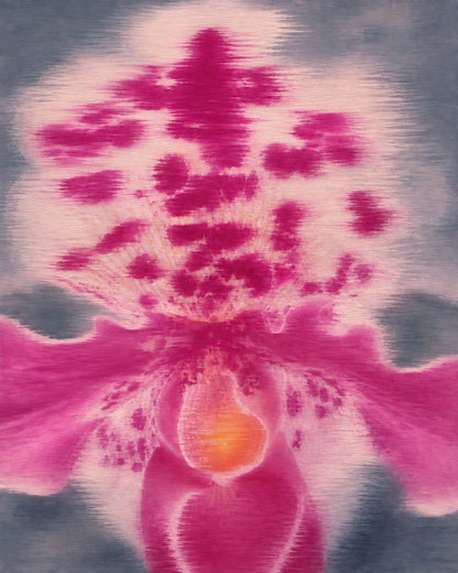 Orchid No. 03 — Fuchsia pink orchid fine art print